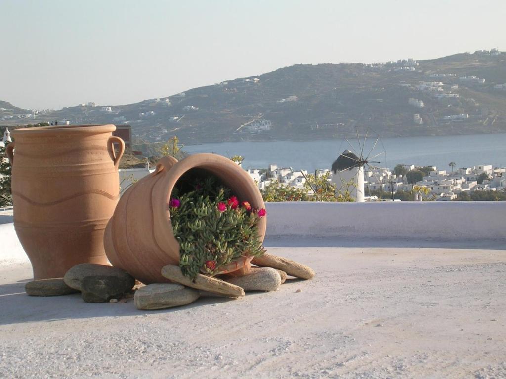 La Veranda Of Mykonos Traditional Guesthouse Mykonos Town Eksteriør bilde